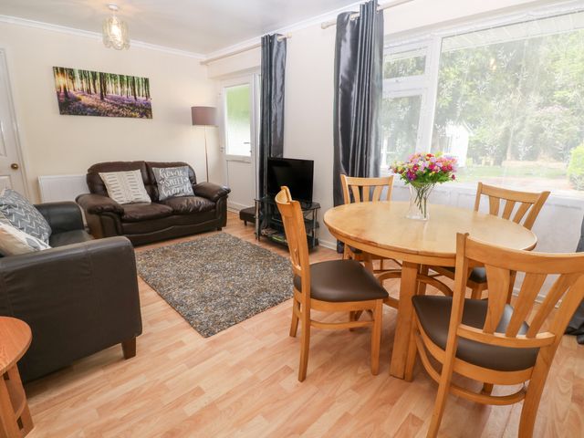 11 Tremore - 1025572 - photo 4