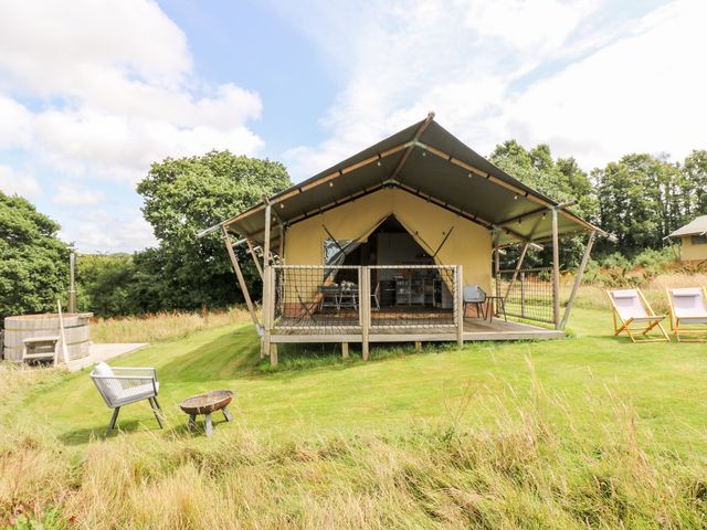 Bumble @ Stars & Embers Glamping - 1026537 - photo 3