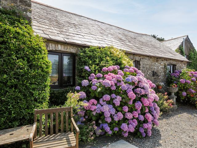 Coach House Cottage - 1033553 - photo 2