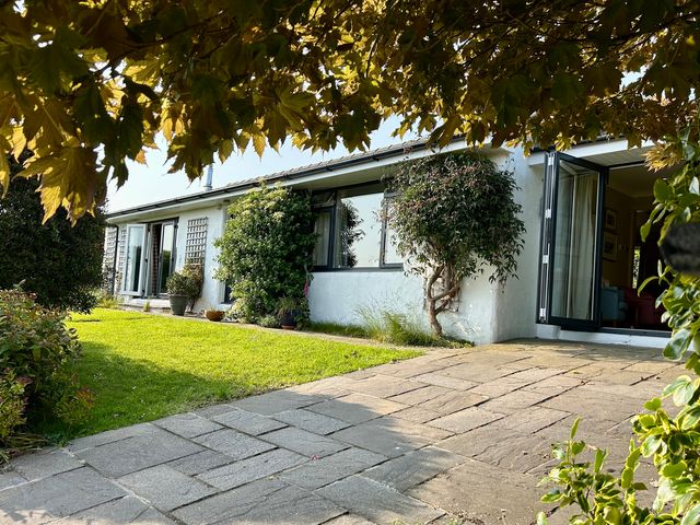 A house with windows and greenery at Dolwylan Newport, Pembrokeshire