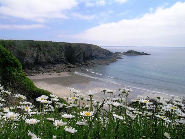 Tremynydd Fawr - 1035781 - photo 2