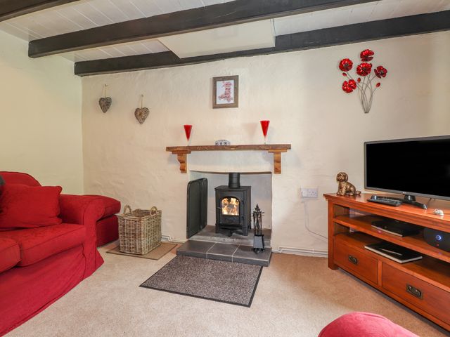 Panteg, Cardigan - 1036061 - photo 2