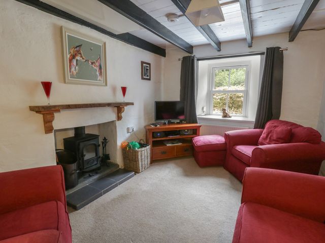 Panteg, Cardigan - 1036061 - photo 4