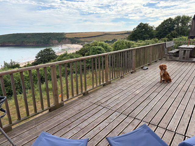 Beach Cove - 1036173 - photo 4