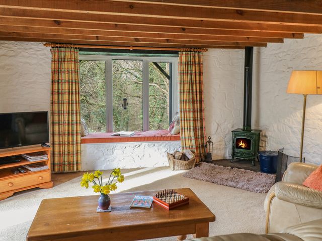 Trawsnant Cottage - 1036292 - photo 5