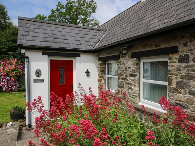 Trawsnant Cottage - 1036292 - photo 3