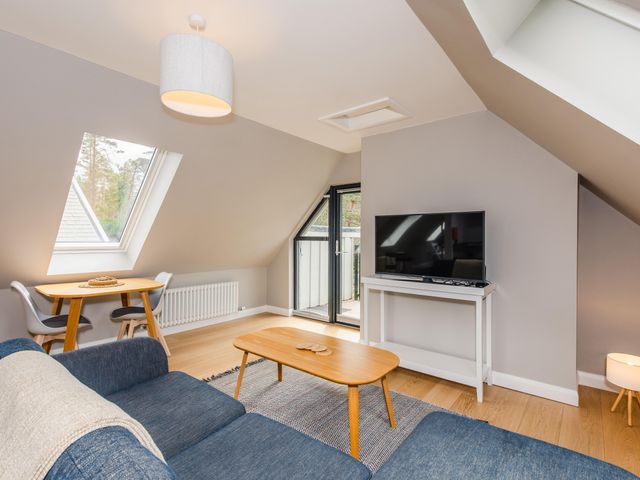 Osprey Apartment - 1036612 - photo 5
