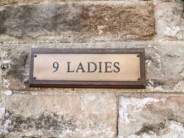 Nine Ladies - 1037666 - photo 3