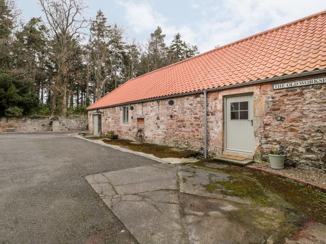 The Old Workshop - 1038739 - photo 4