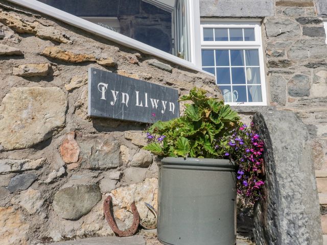 Tyn Llwyn - 10388 - photo 4