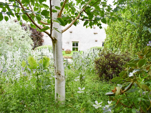 Yew Tree - 1038926 - photo 3