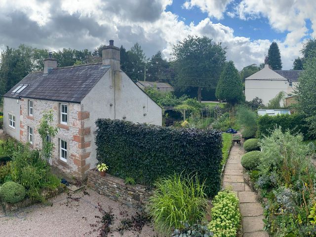 Yew Tree - 1038926 - photo 2