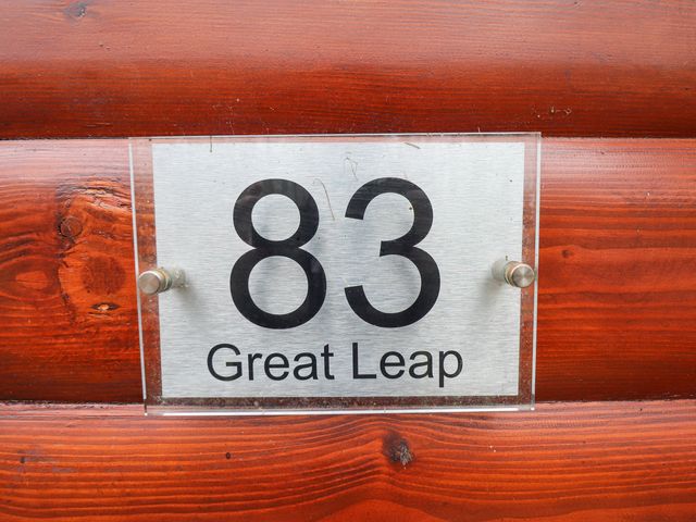 Great Leap - 1039655 - photo 4