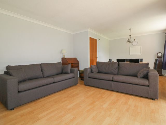 Three Jays - 1039903 - photo 3