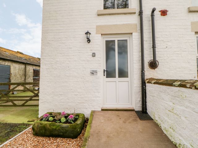 Tight Lyne Cottage - 1040214 - photo 3
