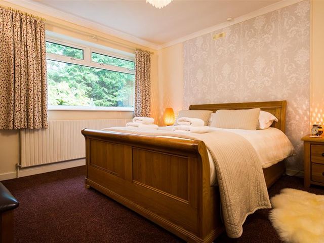 Nutwood - 1040830 - photo 5
