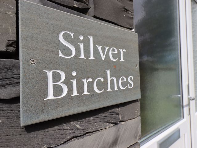 Silver Birches - 1041455 - photo 2