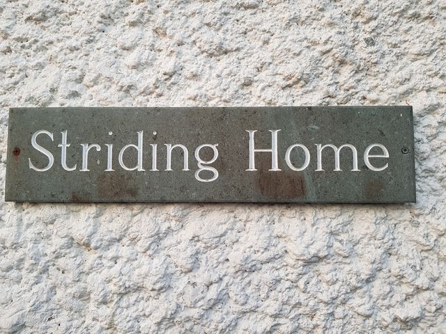 Striding Home - 1042512 - photo 3