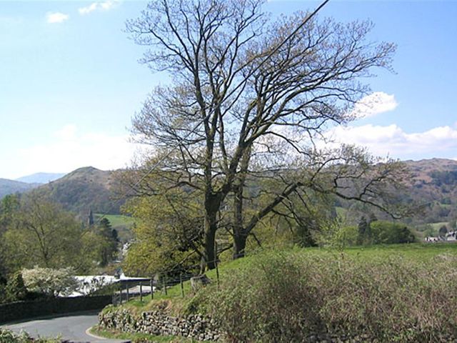 Honeypot Cottage - 1042650 - photo 2