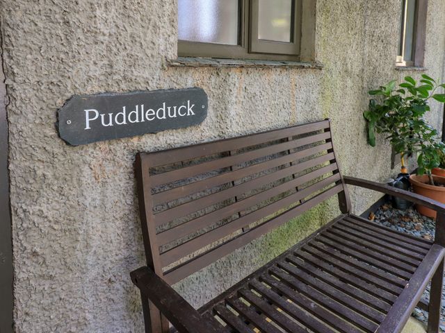 Puddleduck - 1042911 - photo 3