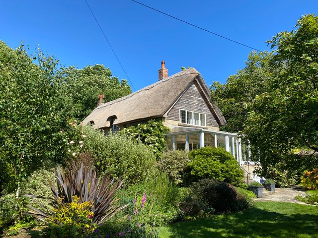A thatched cottage surrounded by various green plants trees and shrubs with a clear blue sky at Goodalls in Chale near Niton