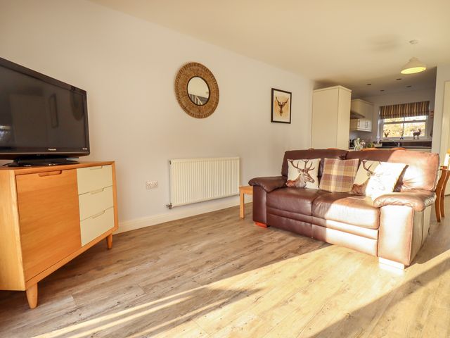 Buck Place - 1053434 - photo 4