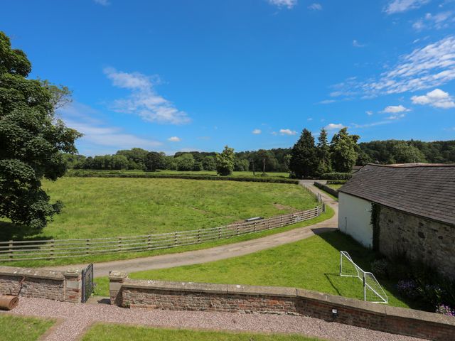 Plas Coch - 1053515 - photo 5