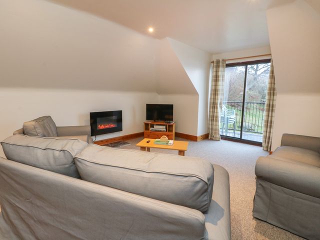 Campbell - 1053573 - photo 5