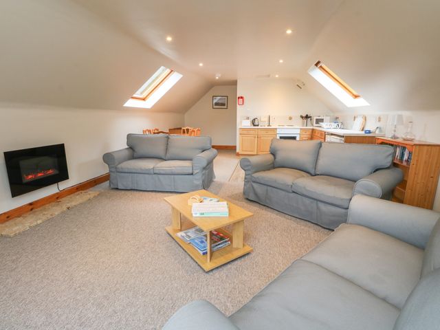 Wallace - 1053575 - photo 5