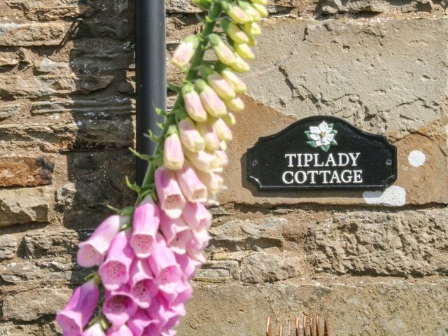 Tiplady Cottage - 1054019 - photo 5