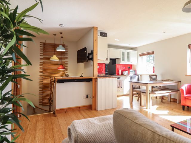 Redwood - 1054156 - photo 4