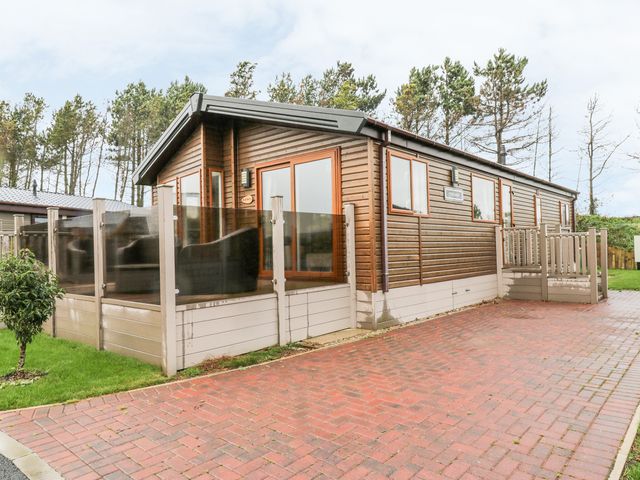 Huckleberry - 1054717 - photo 3