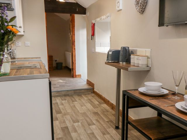 Wren - 1056519 - photo 4