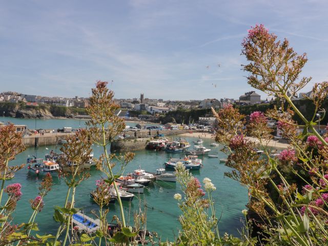 Boats docked in a harbor with buildings and a beach in the background at 5 Quay Court in Newquay
