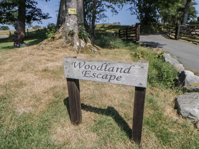 Woodland Escape - 1059268 - photo 2