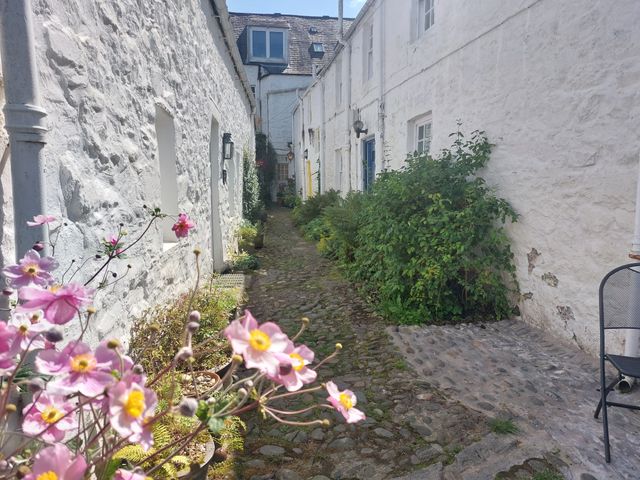 A narrow cobblestone walkway between white stone buildings with plants along the sides at Blue Door - Kirkcudbright