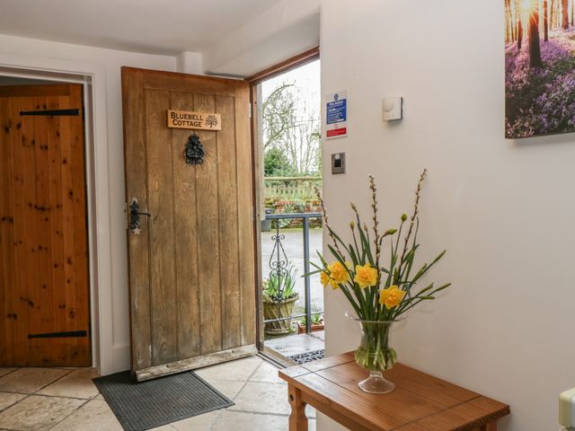 Bluebell Cottage - 1061945 - photo 4