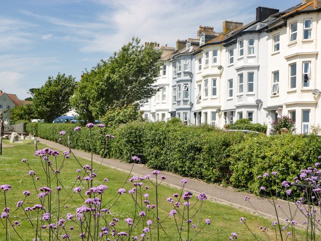 A row of white and grey terraced houses with bushes and purple flowers in front at Bay Tree House in Seaton Devon