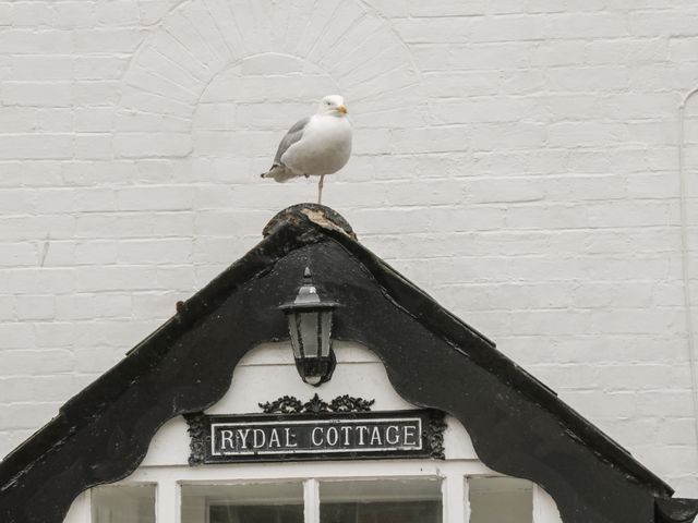 Rydal Cottage - 1065532 - photo 3