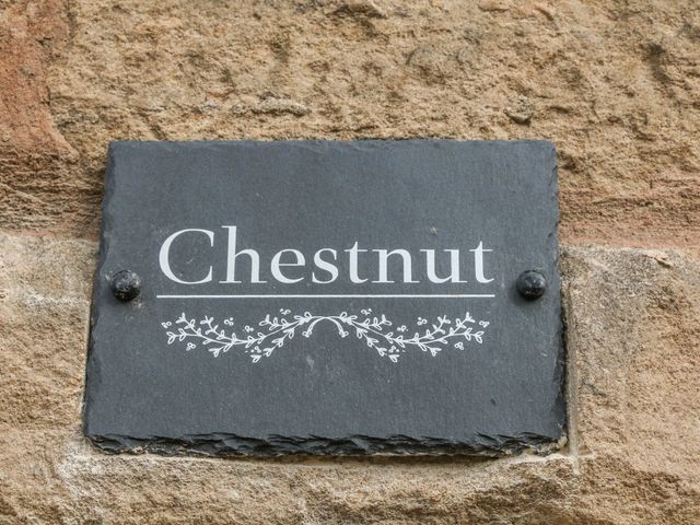 Chestnut Cottage - 1066253 - photo 2
