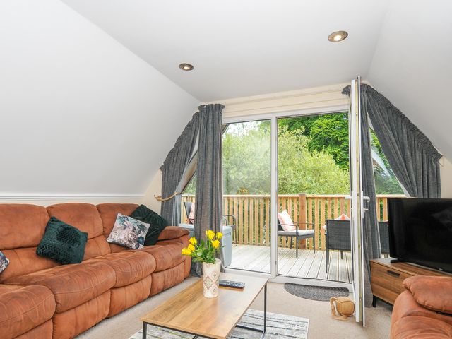 Dart Lodge - 1068004 - photo 5