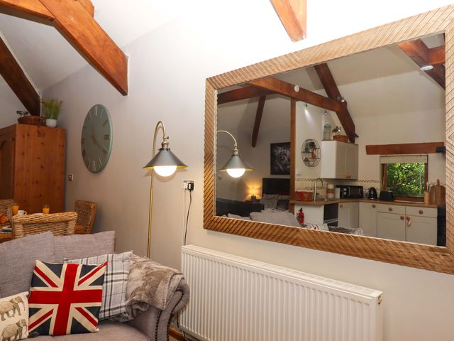Little Torr - 1068042 - photo 5