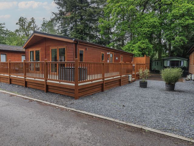 Ridgway Lodge - 1068793 - photo 2