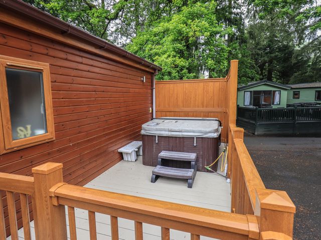 Ridgway Lodge - 1068793 - photo 3