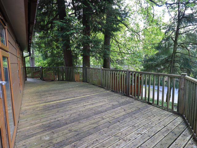 Forest Pines Lodge - 1068844 - photo 3