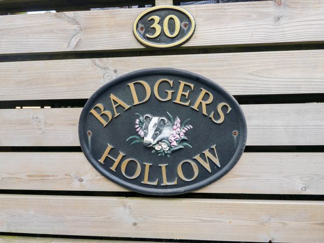Badgers Hollow Lodge - 1068937 - photo 3