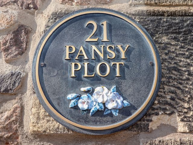 Pansy Plot - 1070440 - photo 2