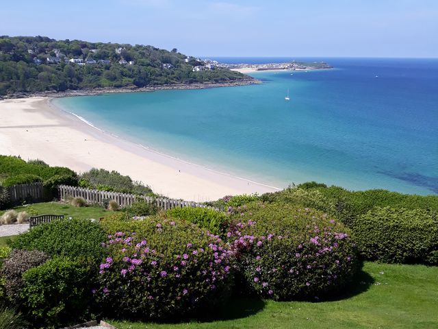 A beach with clear sea and greenery at Sea Mist in Carbis Bay