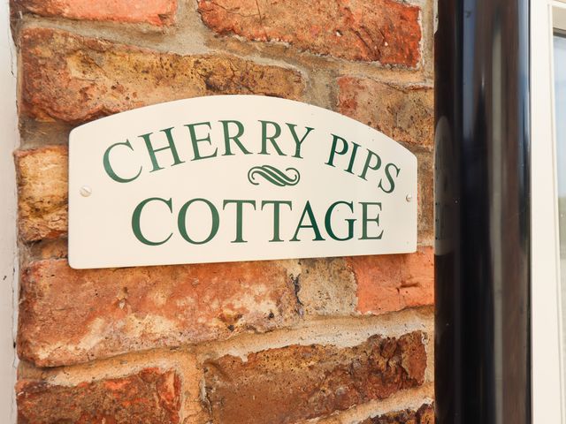 Cherry Pips - 1077791 - photo 3