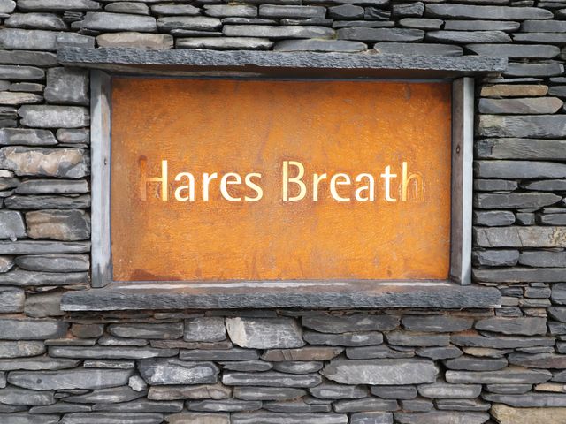 Hare's Breath - 1077937 - photo 5